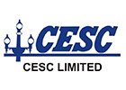 CESE Limited Logo | KEI IND