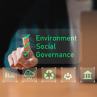 ESG Governance at KEI