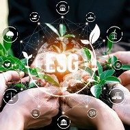 esg-governance-at-kei-menu